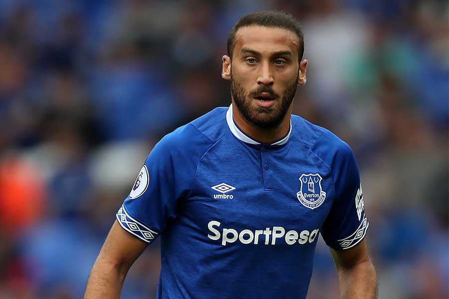 エバートンFWトスン【写真：Getty Images】