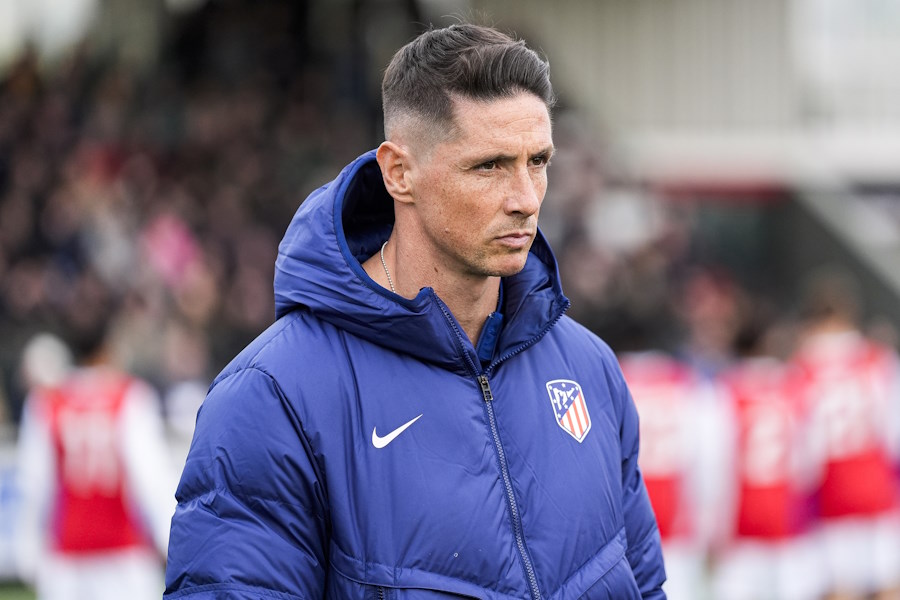 かつて鳥栖でプレーしたフェルナンド・トーレス氏【写真：Getty Images】