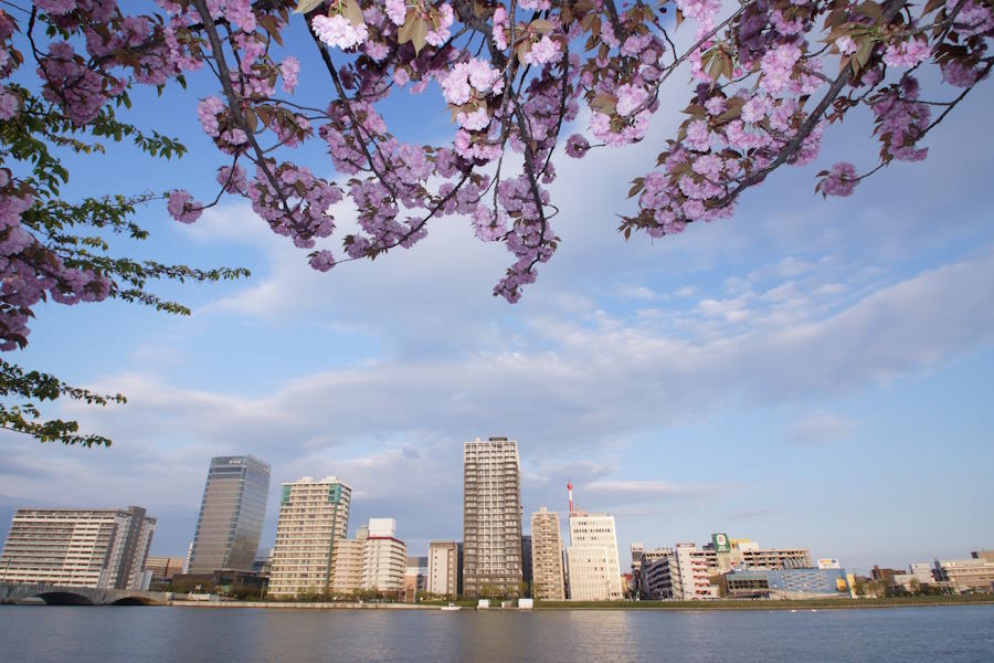 新潟の名所「信濃川」の春の風景【写真：新潟県観光協会】