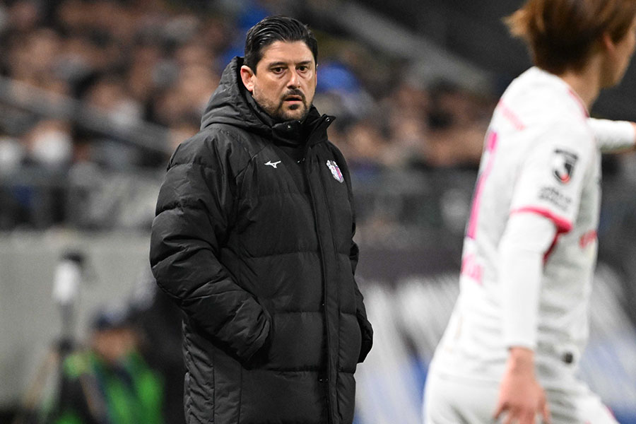 C大阪のアーサー・パパス監督【写真：徳原隆元】