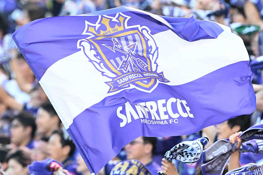 広島がバルトシュ・ガウル氏の新監督就任を発表(写真はイメージです)【写真:徳原隆元】