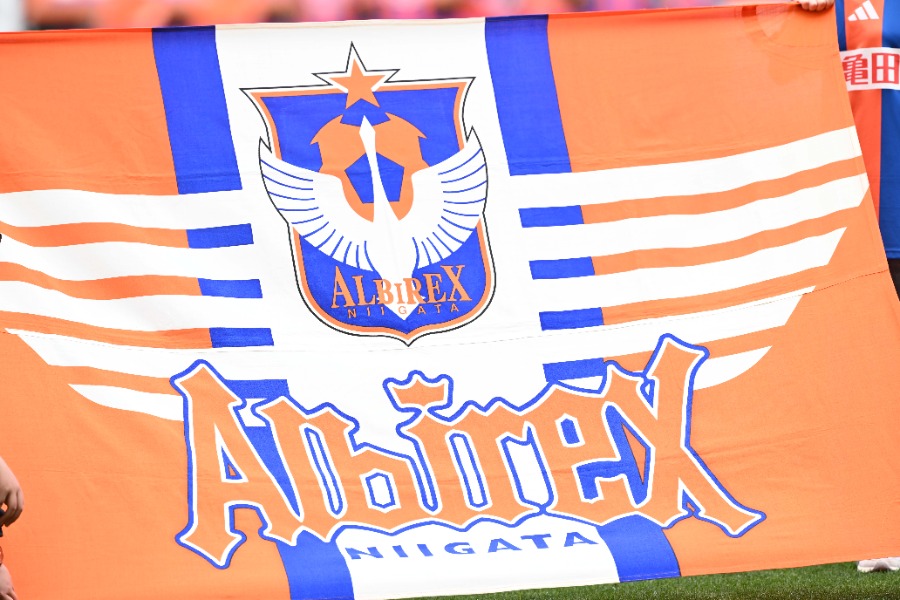 新潟が映画『SAKAMOTO DAYS』とのコラボ企画実施を発表【写真：徳原隆元】